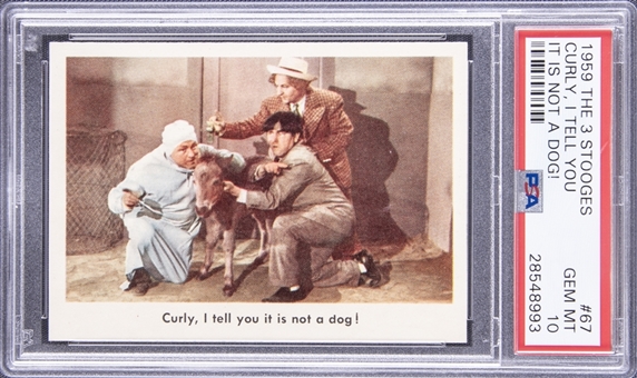 1959 Fleer "Three Stooges" #67 "Curly, I Tell You… " – PSA GEM MT 10